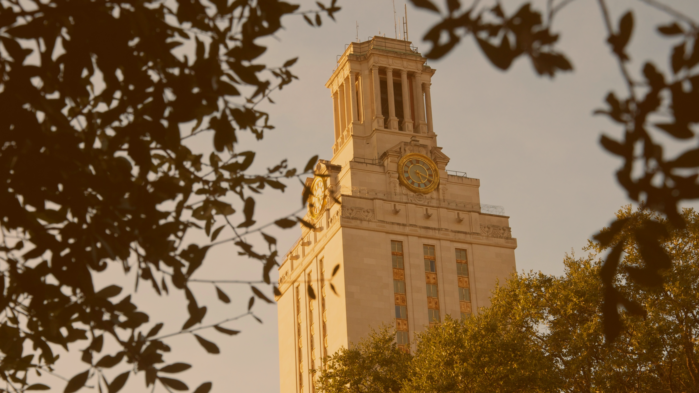 ut tower